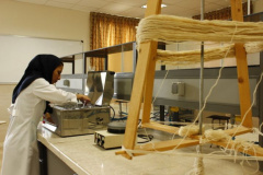 Prof. Arshadi Building - Dyeing Laboratory 5